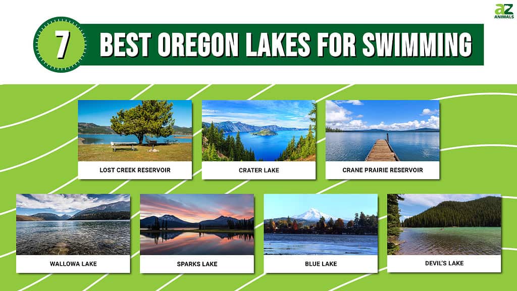 7 Best Oregon Lakes for Swimming
