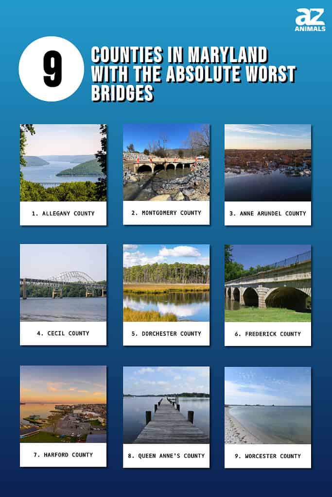 9 Counties in Maryland With the Absolute Worst Bridges infographic