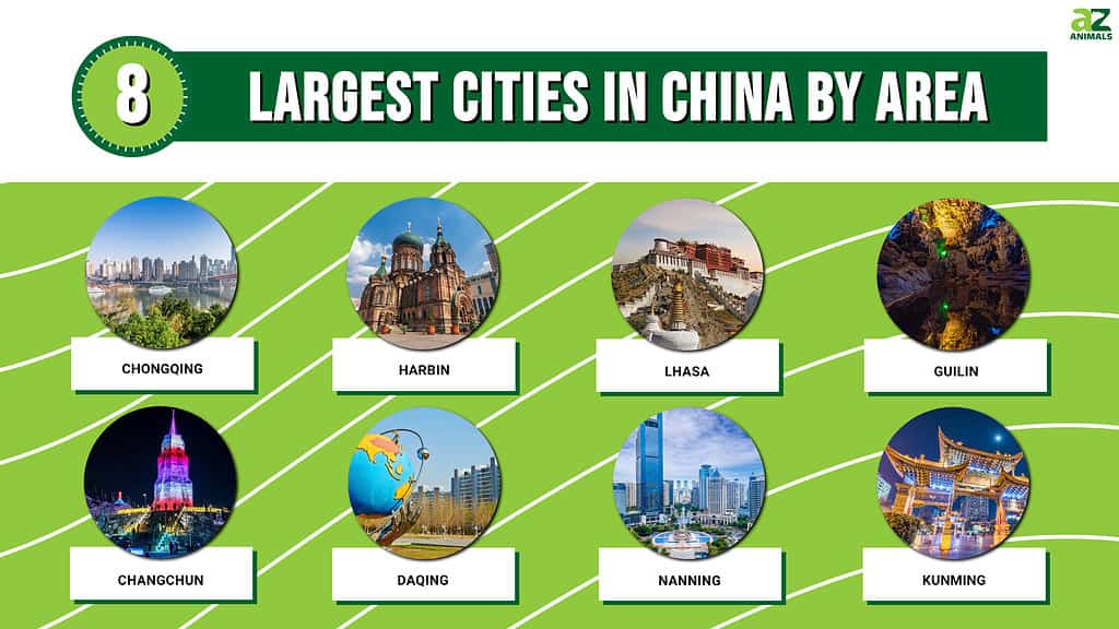 Picture graph of the 8 Largest Cities in China by  area.