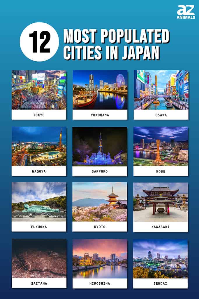 Picture graph of the 12 Most Populated Cities in Japan.
