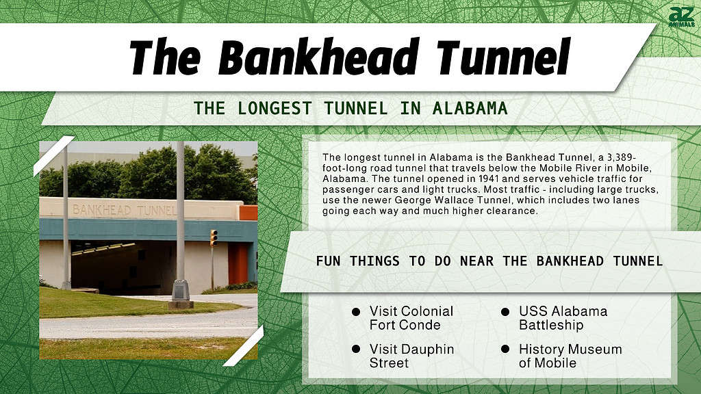 The Bankhead Tunnel is the Longest Tunnel in Alabama