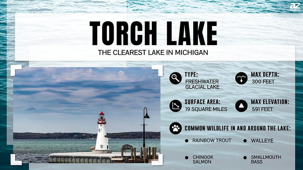 Torch Lake is the Clearest Lake in Michigan