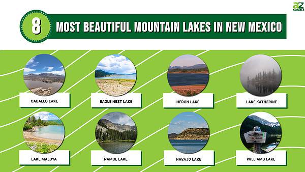 The 8 Most Beautiful Mountain Lakes in New Mexico