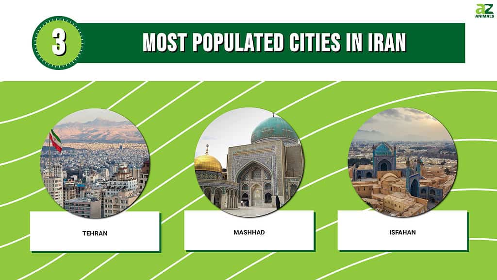 Picture graph of the 3 Most Populated Cities in Iran