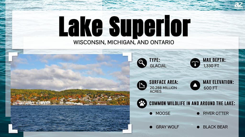 Infographic of Lake Superior