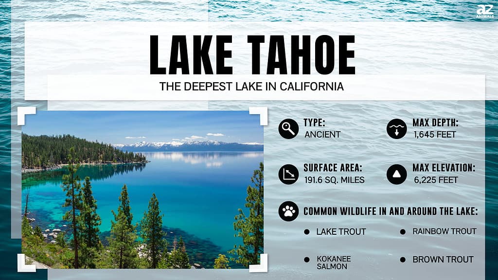 Infographic of Lake Tahoe