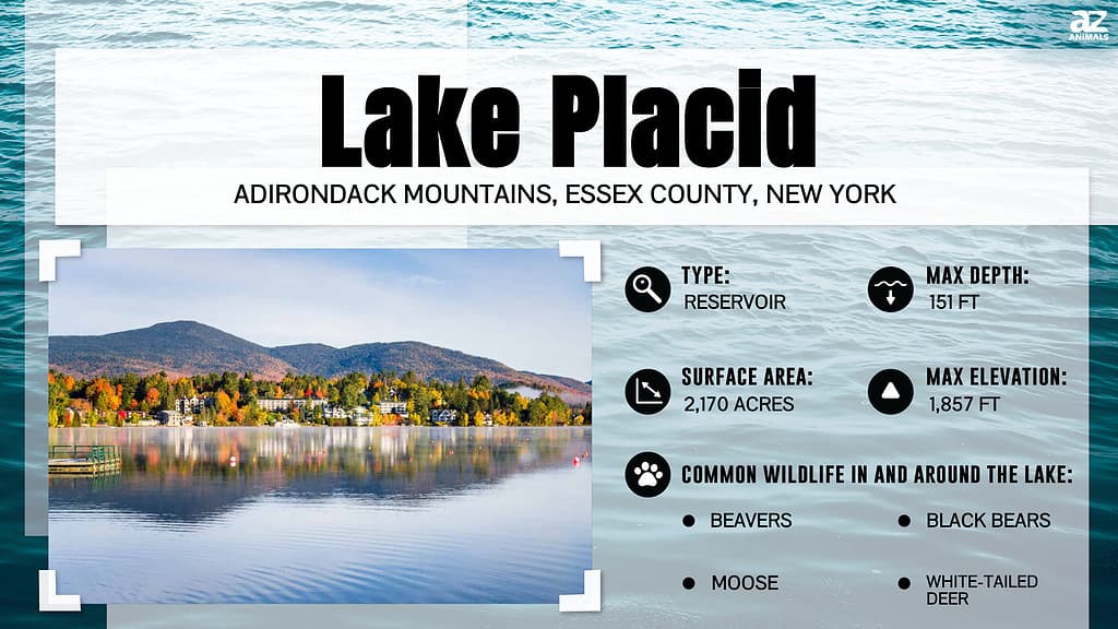 Infographic for Lake Placid