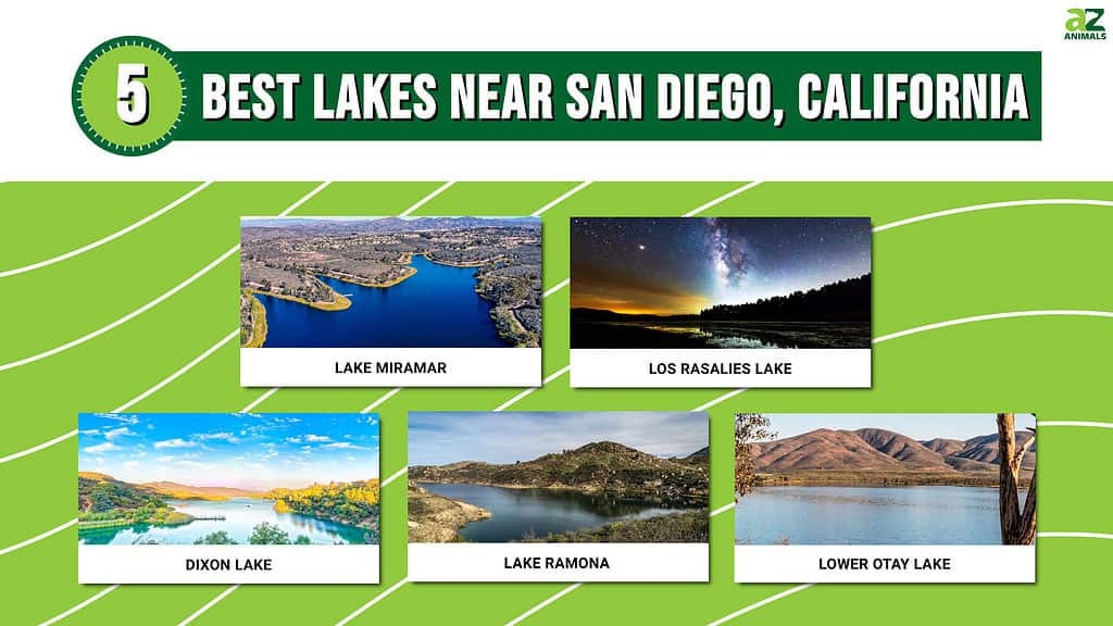 Picture graph of 5 Best Lakes in San Diego, California