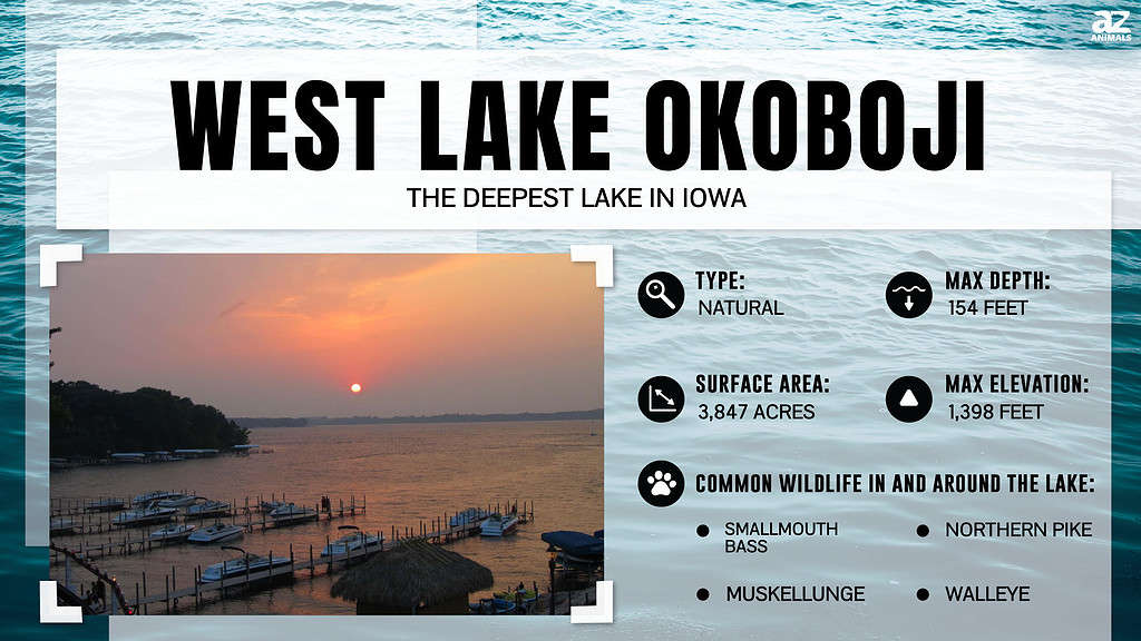 Infographic of West Lake Okoboji