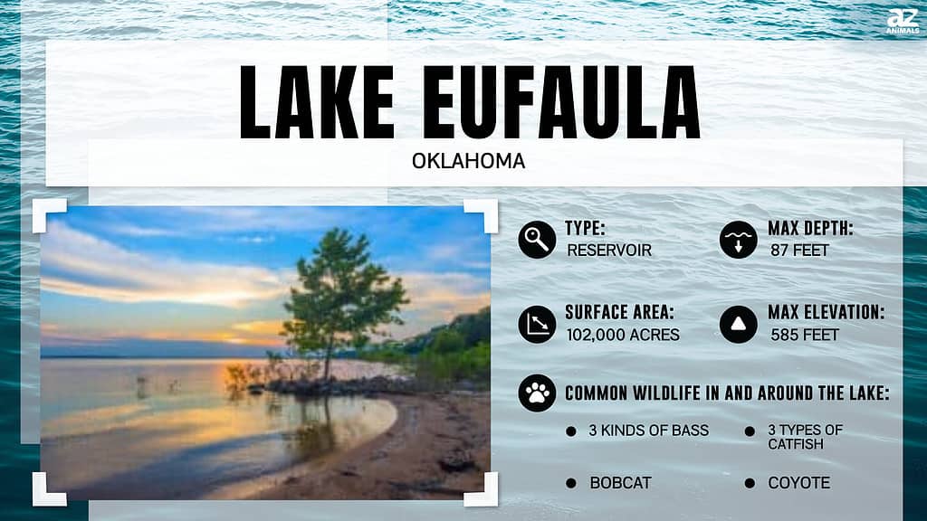 Lake Eufaula infographic