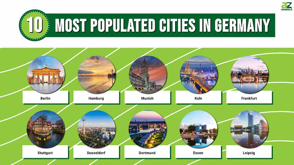 Picture graph of the 10 Most Populated Cities in Germany