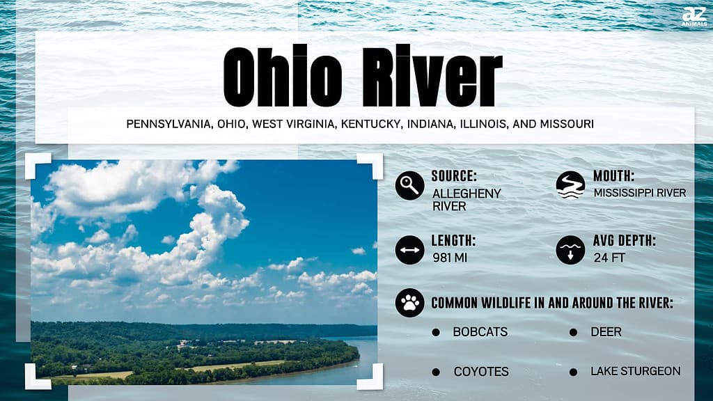Infographic about the Ohio River.