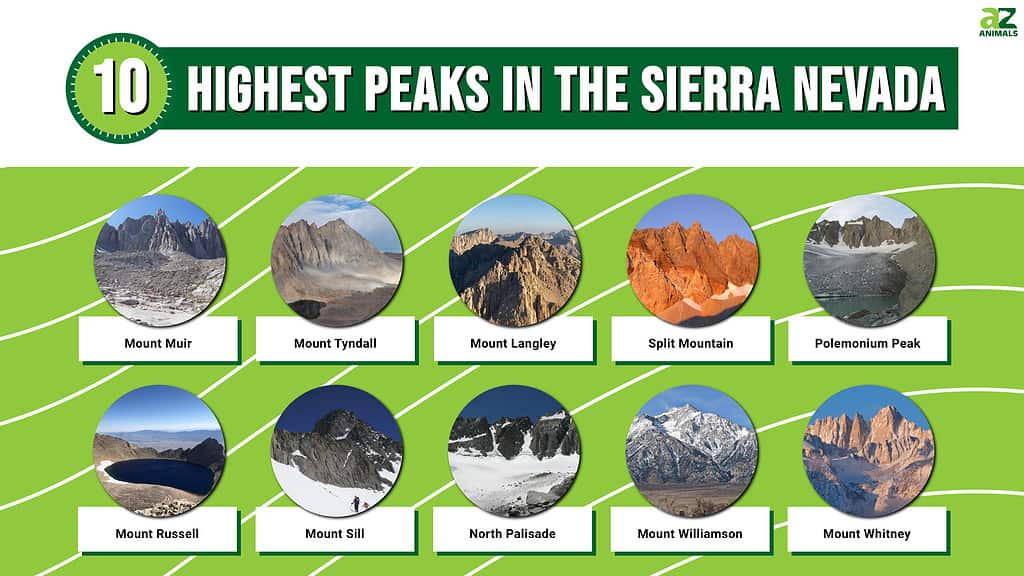 10 Highest Peaks in the Sierra Nevada