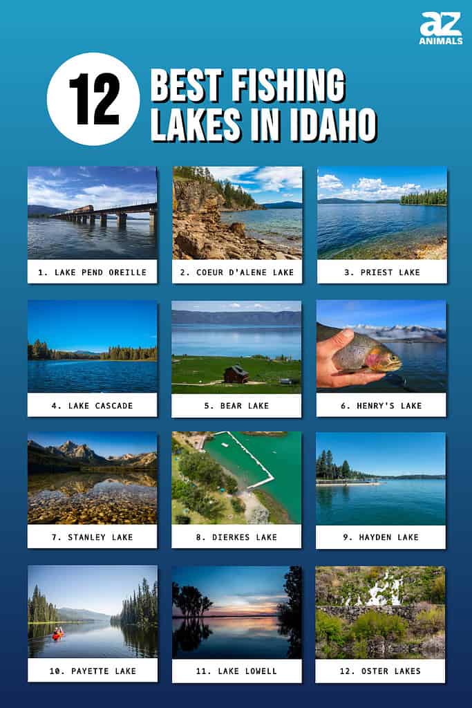 Best Fishing Lakes in Idaho infographic