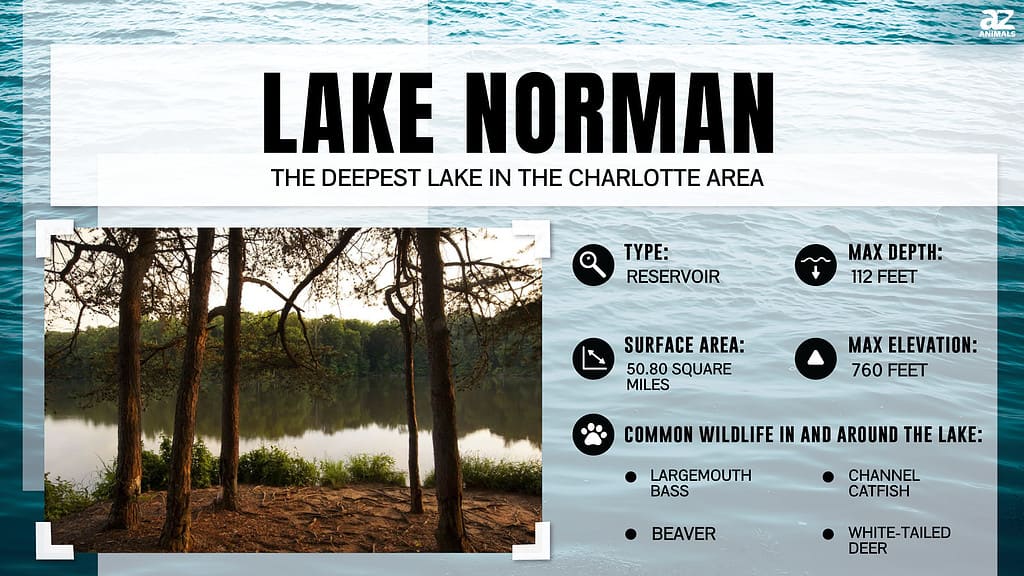 Lake Norman is the Deepest Lake in the Charlotte Area
