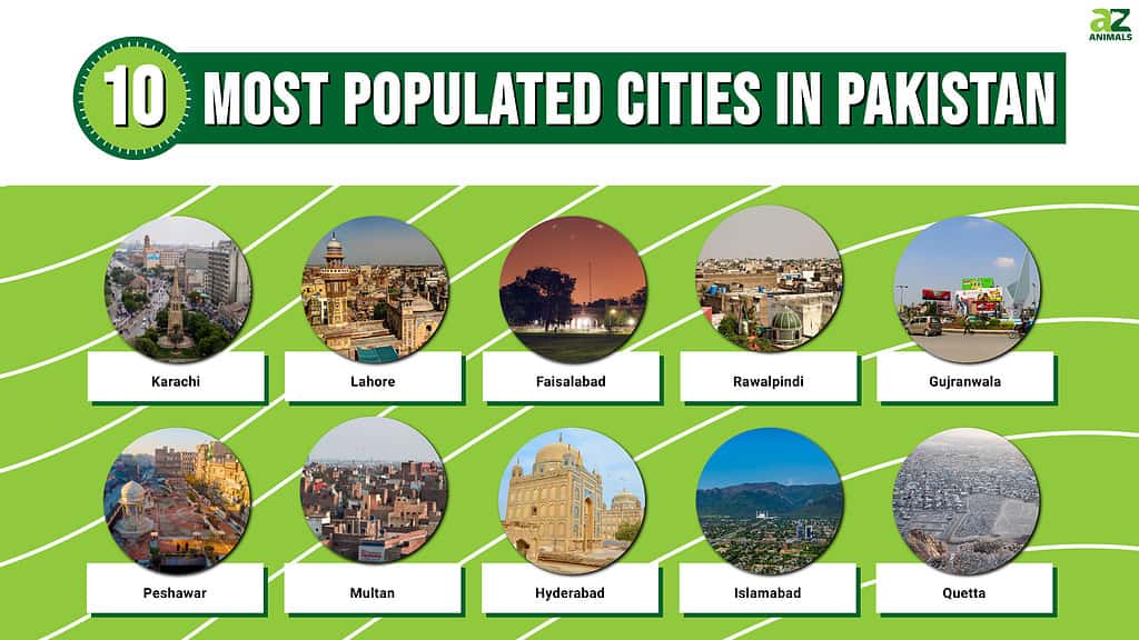Picture graph of the 10 Most Populated Cities in Pakistan.