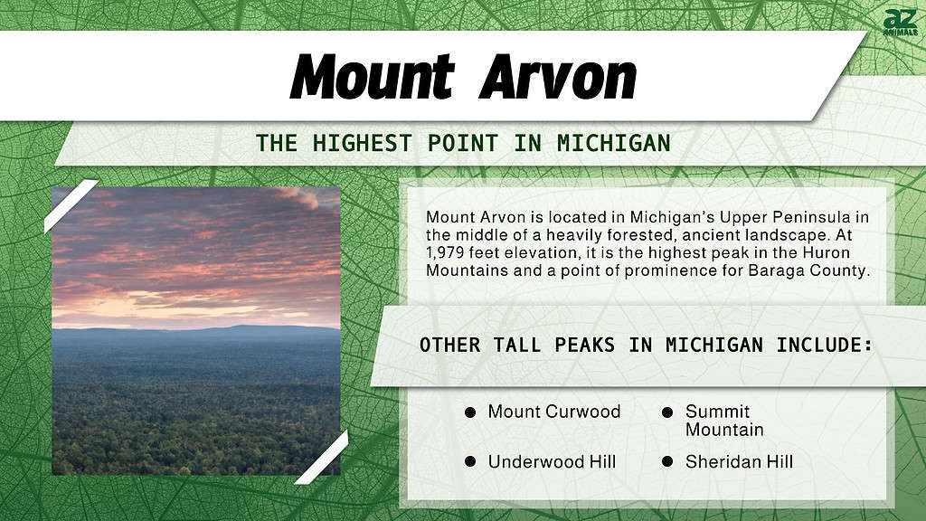 Infographic of Mount Arvon