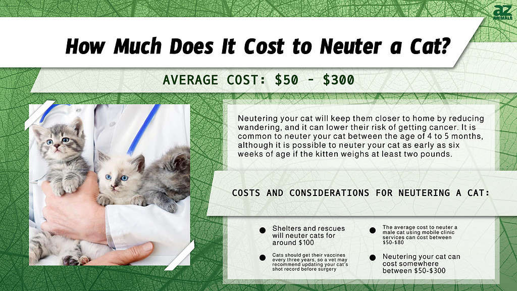 Chart of costs associated with neutering a cat.