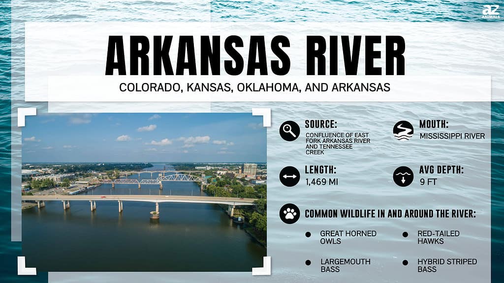 Infographic for the Arkansas River