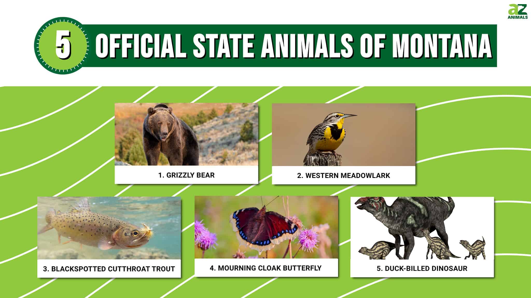 Discover the 5 Official State Animals of Montana - A-Z Animals