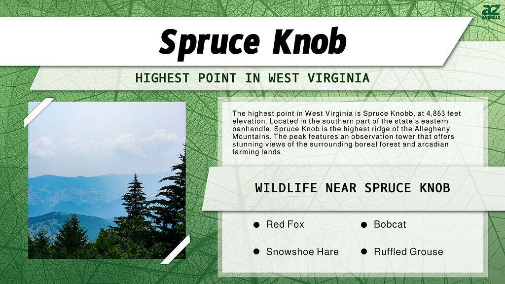 Spruce Knob is the Highest Point in West Virginia