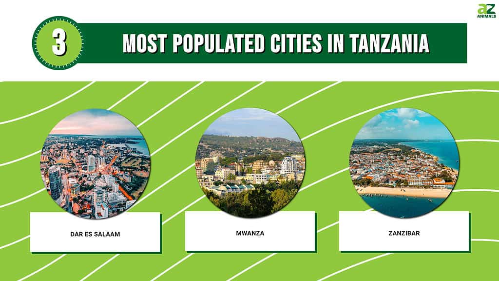 Picture graph of the 3 Most Populated Cities in Tanzania