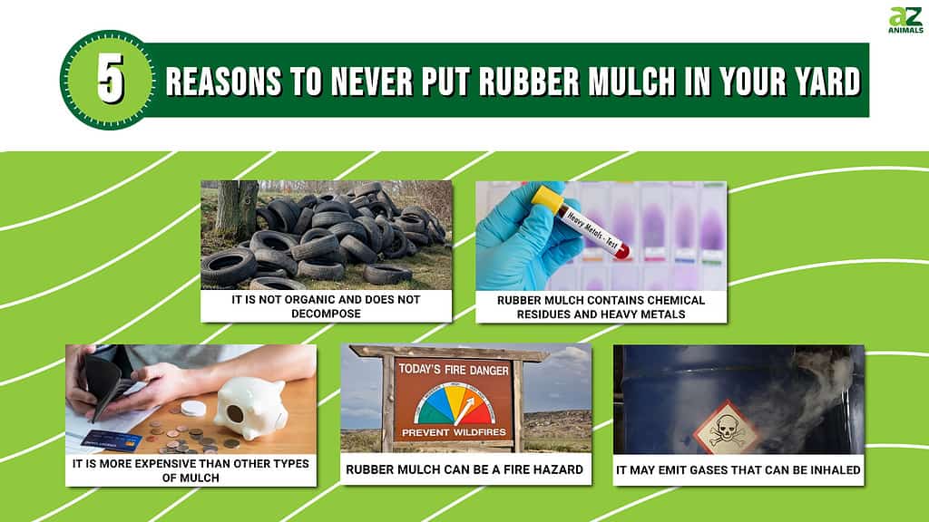 5 Reasons Not to Put Rubber Mulch in Your Yard