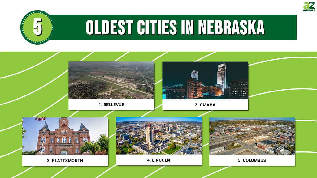 Infographic of 5 Oldest Cities in Nebraska