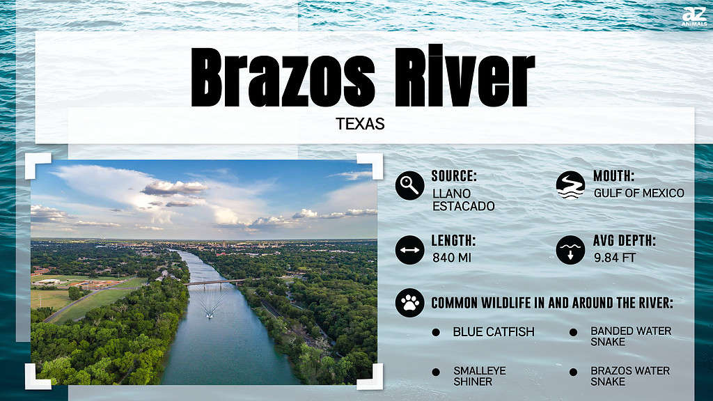 Infographic for the Brazos River.