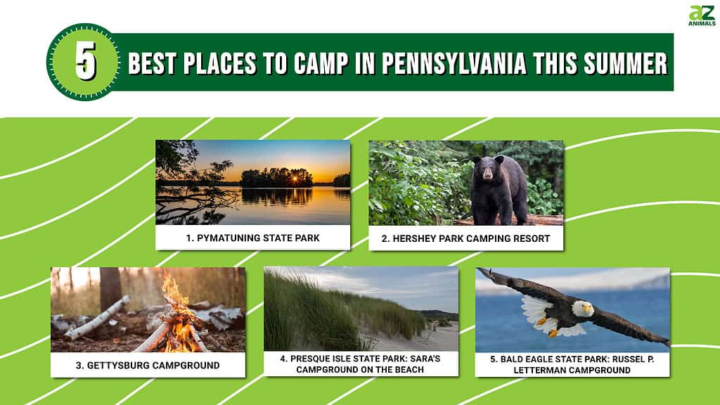 Camping in Pennsylvania
