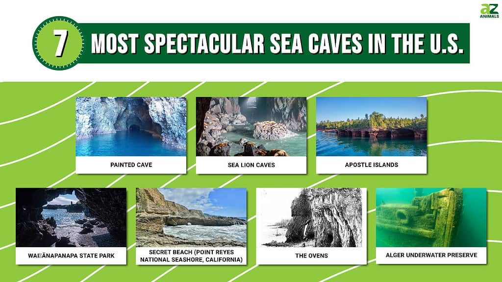 sea caves in the U.S. 