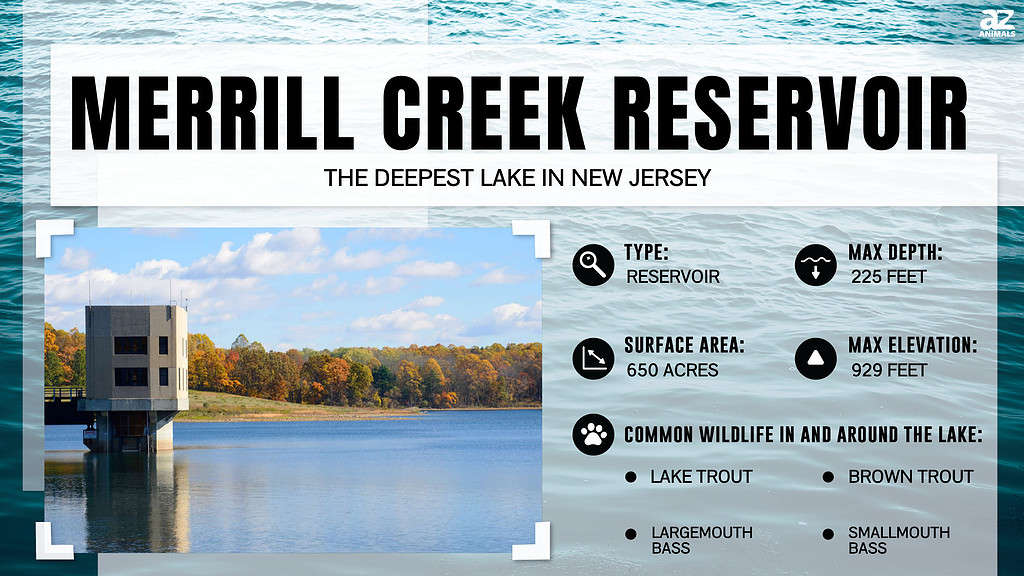 Infographic of Merrill Creek Reservoir