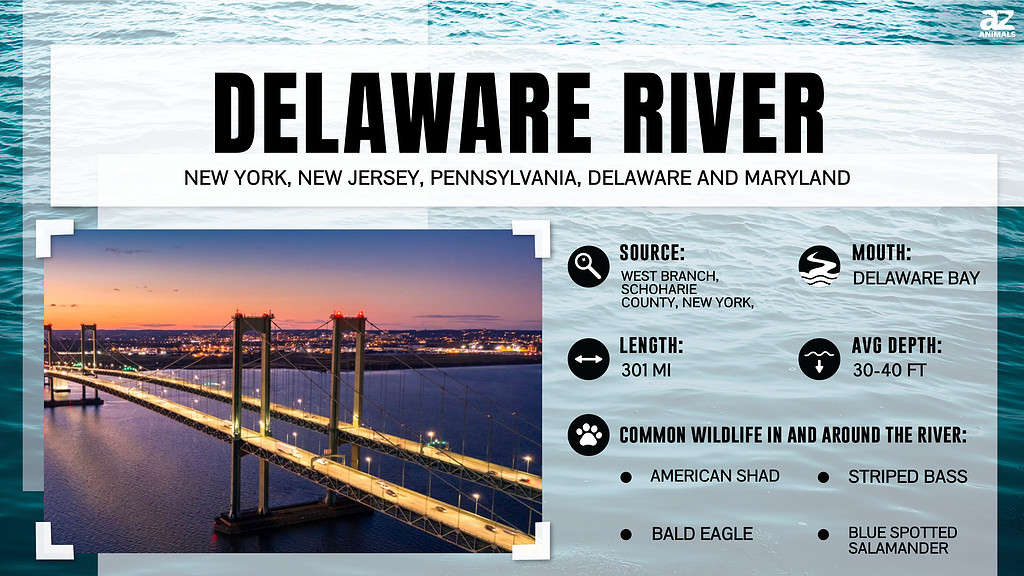 Infographic about the Delaware River.