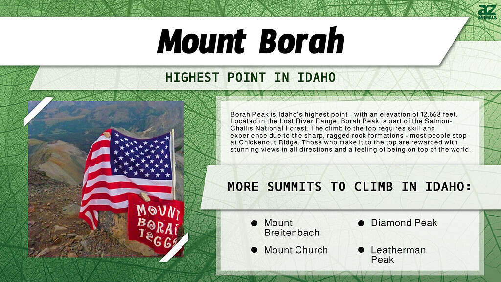 Mount Borah is the Highest Point in Idaho