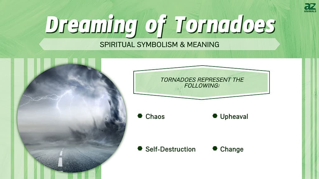 Dreaming of Tornadoes infographic