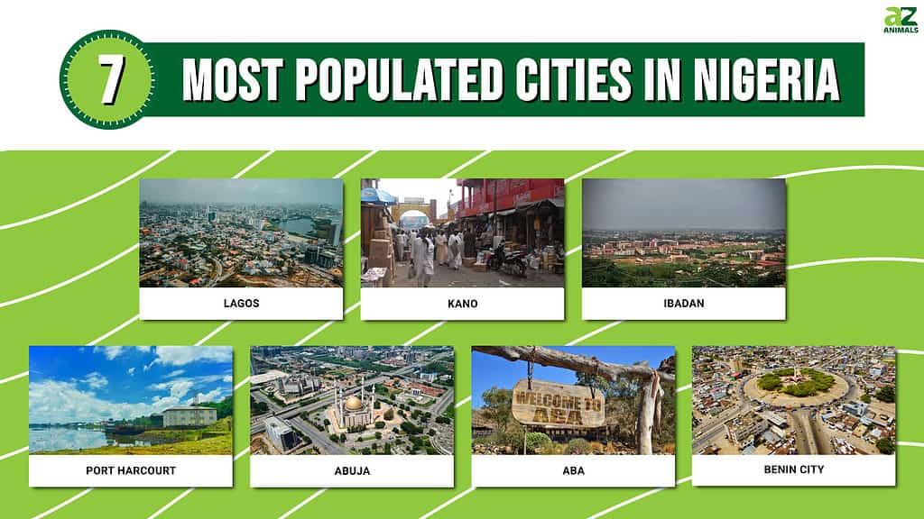 Picture graphic of the 7 Most Populated Cities in Nigeria.