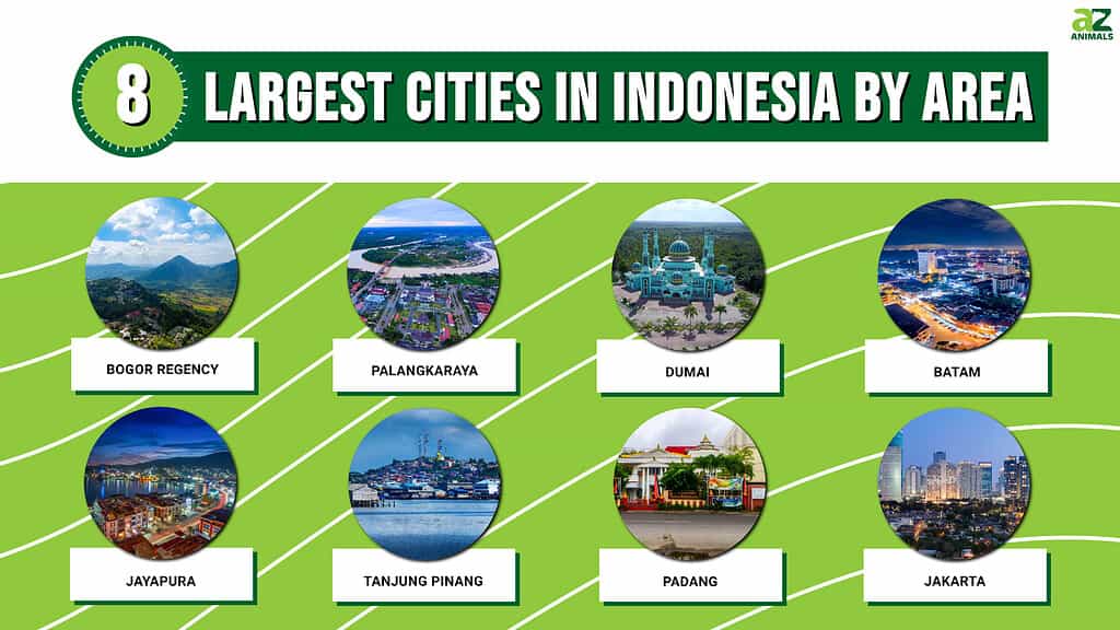 Picture graph of the 8 Largest Cities in Indonesia by Land Area