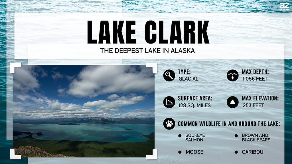 Infographic of Lake Clark