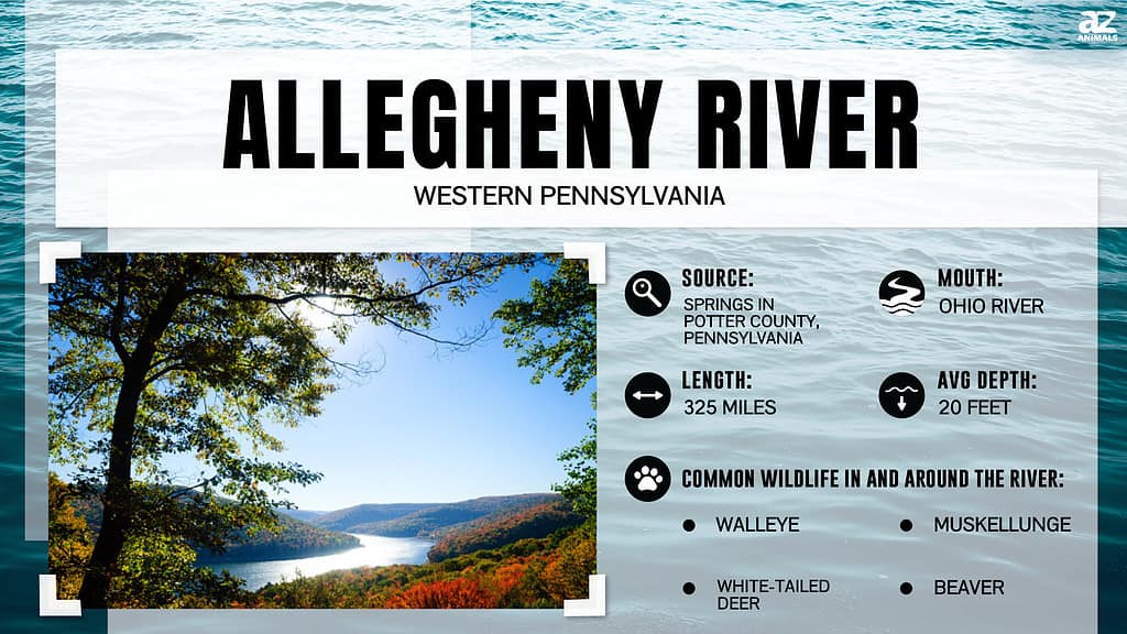 The Allegheny River begins and runs through western Pennsylvania