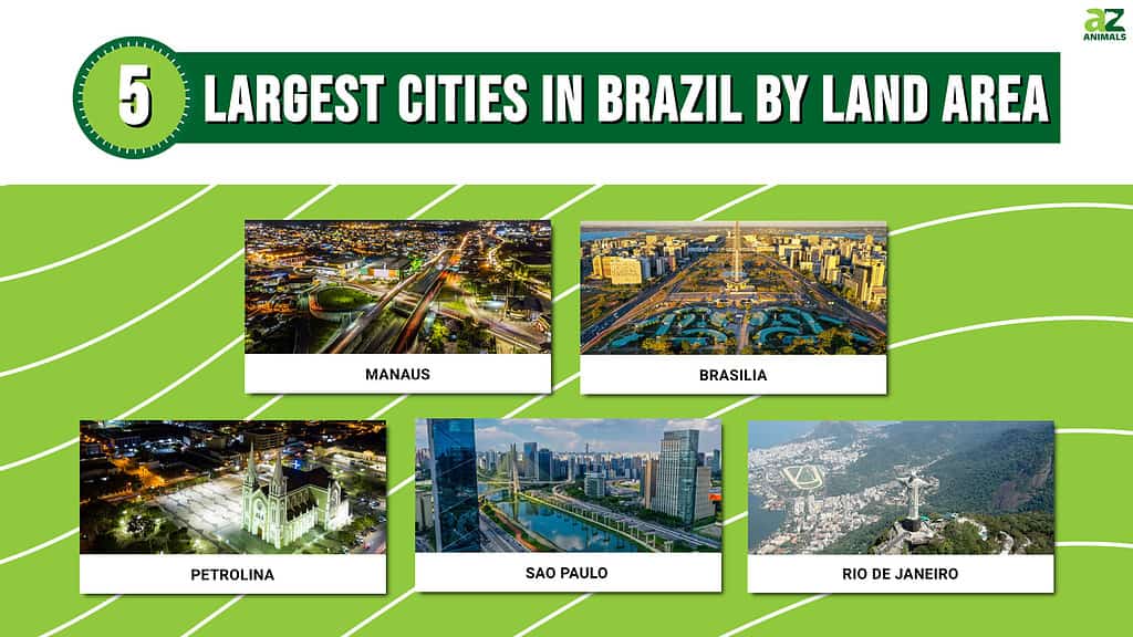 Picture graph of the 5 Largest Cities in Brazil by Land Area