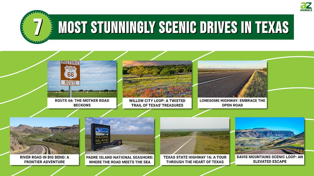 7 Most Stunningly Scenic Drives in Texas