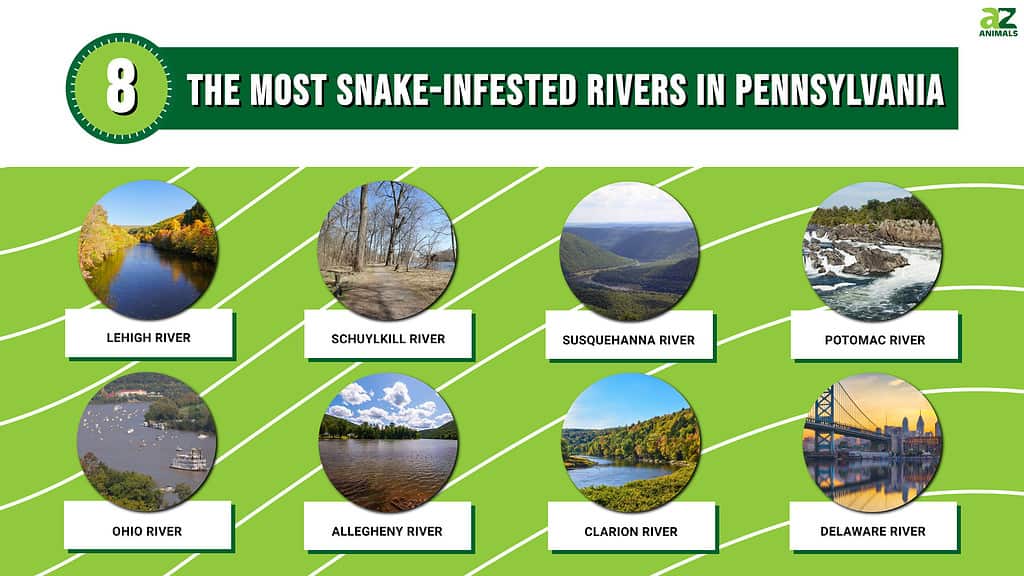 snake infested rivers Pennsylvania