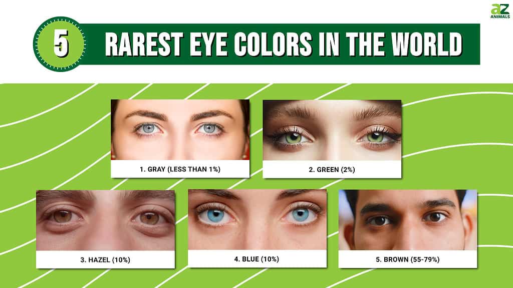 5 Rarest Eye Colors in the World