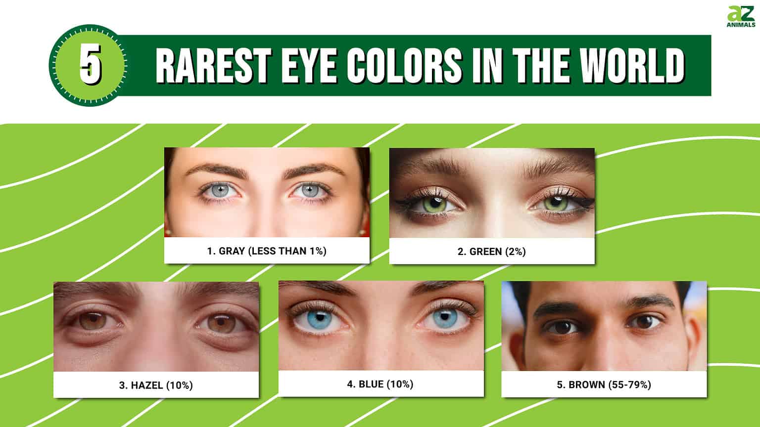 The Rarest Eye Colors In The World And Percentages Of The Population