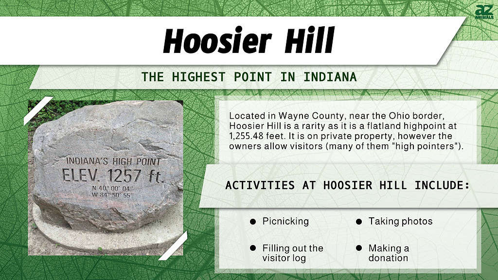 Infographic of Hoosier Hill