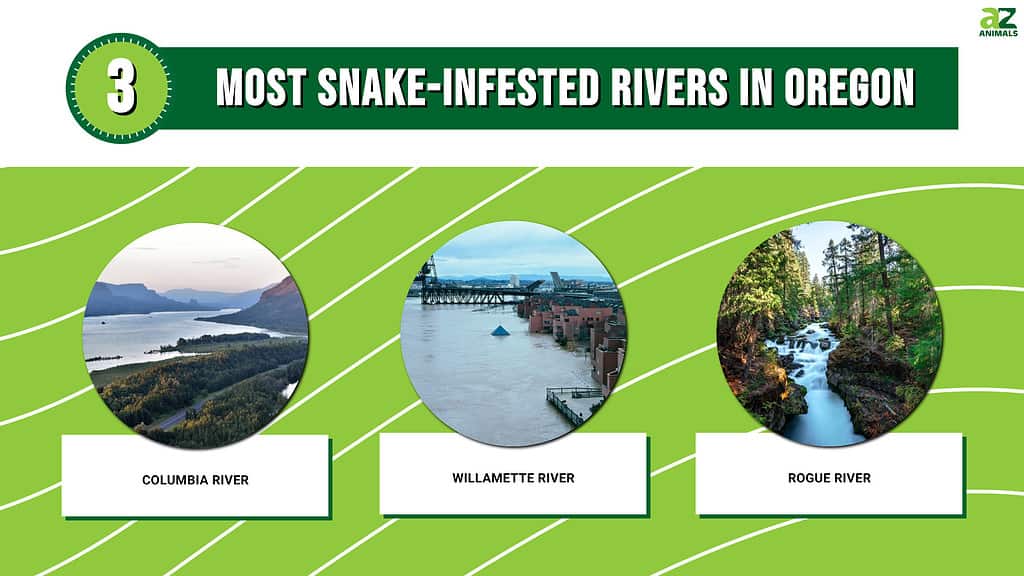 Snake-infested rivers, Oregon, 