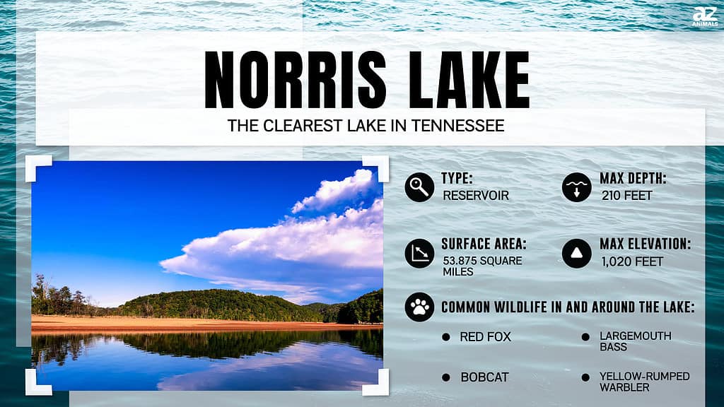 Norris Lake is the Clearest Lake in Tennessee