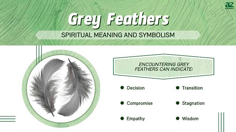 The Spiritual Meaning and Symbolism of Grey Feathers - A-Z Animals