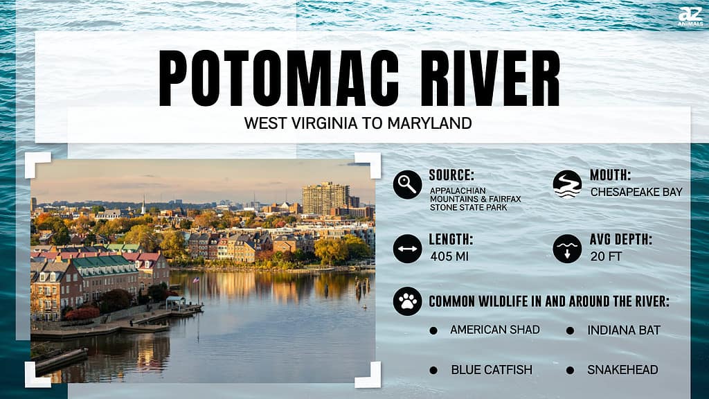 Infographic about the Potomac River