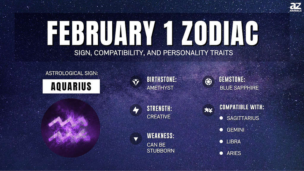 February 1 Zodiac Sign, Personality Traits, Compatibility, and More